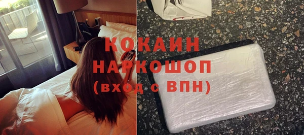 прущие грибы Ачинск