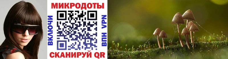 Галлюциногенные грибы Psilocybe  Усть-Кут 